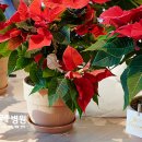 방그레병원 이미지