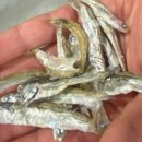 쌍근마을 이미지