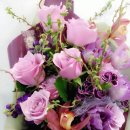 후리지아 이미지