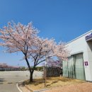 동락공원 자전거대여소(동절기) 이미지