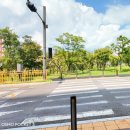 동탄부영공인중개사사무소 | 동탄 호수공원 부영 5단지 | 호수공원역 센트리체 실거주·투자 분석 총정리