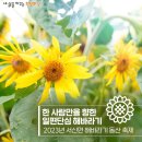 2023년 서신면 해바라기 동산 축제 이미지