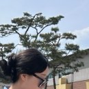 김송이의원 이미지