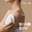웰스바디케어