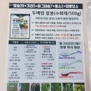 스마트한농부 ㅣ 두배업 칼붕 ㅣ 식물영양제