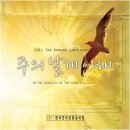 컨티넨탈주
