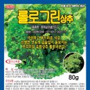 농업회사법인 ㈜그린 | 롤로그린 유럽상추 청복실이샐러드