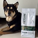 임수의과병원 | 강아지 중증식이알러지 사료 벳큐어 처방사료 후기