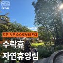 쉼에숲 | 수락휴자연휴양림의 진짜 쉼 이야기 모든 것은 숲으로부터 온다