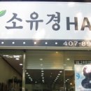 소유경