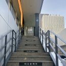 압구정로데오 미용실 추천 비오른헤어 압구정로데오점 | 백하 부원장님 염색 후기