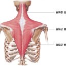 오다필라테스&PT 이미지