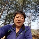 영심농장 이미지