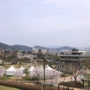 화순군립석봉미술관 | 화순 동구리 호수공원 벚꽃 산책로와 주변의 풍경들