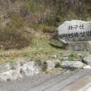 민속인삼