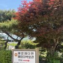 풀꽃하동 | 하동 반값여행 가볼만한곳 매암제다원