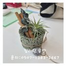 일상에 감성을 더하는 친환경 라탄 소품 만들기(4) | 시흥 발포세라믹 원데이클래스 요즘 뜨는 친환경공예로 감성 오브제 만들기