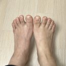 하부골 이미지