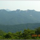 오봉마트