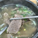 진곰탕 | 광주 곰탕 설렁탕 국밥 맛집 내돈내산 후기 : 첨단애 진곰탕