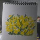 하늘그리기 | 문교 오일파스텔 72색상 사용 후기 2 꽃 바다 하늘 그리기