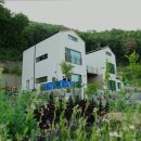 수니앤팬션 이미지