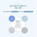 스텝셀 이미지