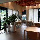 멍스타애견 이미지