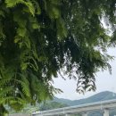 아유란농원 이미지