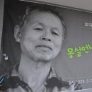 어른/그림책을 만나다 이미지