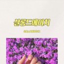 에이치네일살롱 이미지