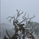 【제493차】 보은 구병산(877m) 시산제산행 2/21(토) 이미지