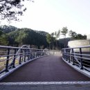 금강송테마전시관 이미지