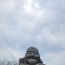 카멜리아한의원 이미지