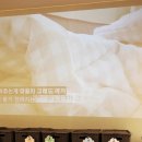 가평애견호텔 24시간 벨라몽 소수 정예 호텔 케어링 서비스 경험 후기