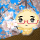체리블라썸 네이버블로그