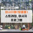 공무원 건강관리 프로그램, 마사지볼(땅콩볼) 힐링 스트레칭 출강 후기