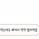 회나무식당 이미지