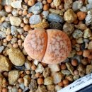 커피내음 이미지