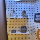 달천철장 전시관 | 가기 좋은 곳, 넓은 광장에서 뛰놀며 철생산 역사에 대해서도 자세히 배워볼 수 있는 달천철장 유적공원