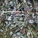 동혜농장 이미지