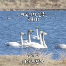 선창 (고운봉) B 이미지