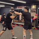 XXX BOXING 이미지