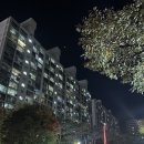 매수경로당 | [구리 장자호수공원역]구리 대림한숲아파트 도보 임장 후기(한참지난..)