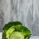 코리아히록스 이미지