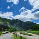 숲과개울펜션야영장 | 찐 힐링 장소 발견함! 평창 숲과 개울 오토캠핑장&amp;펜션 솔직 후기