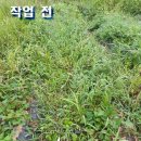 고랑 이미지