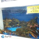 청주회센타