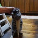 오로라PC방 이미지