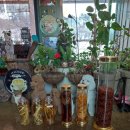 힐링 생활 꽃장식 이미지